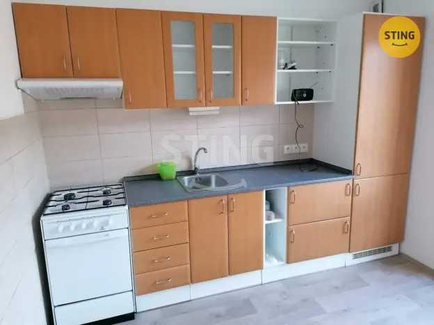Pronájem bytu 1+1, Opava, Na Rybníčku, 38 m2