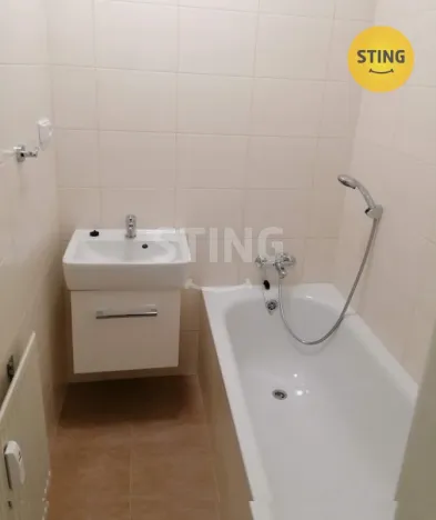 Pronájem bytu 1+1, Opava, Na Rybníčku, 38 m2