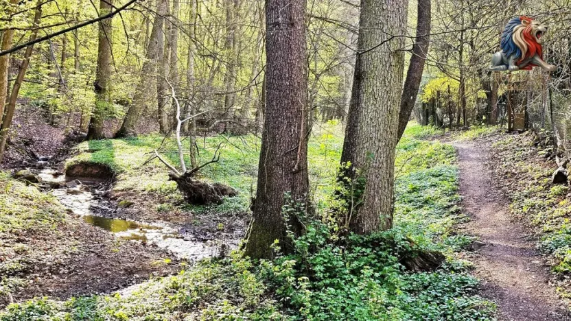 Prodej chaty, Brno - Bystrc, 24 m2