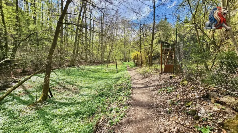 Prodej chaty, Brno - Bystrc, 24 m2