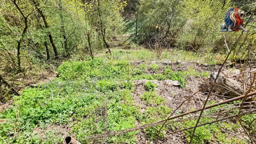 Prodej chaty, Brno - Bystrc, 24 m2