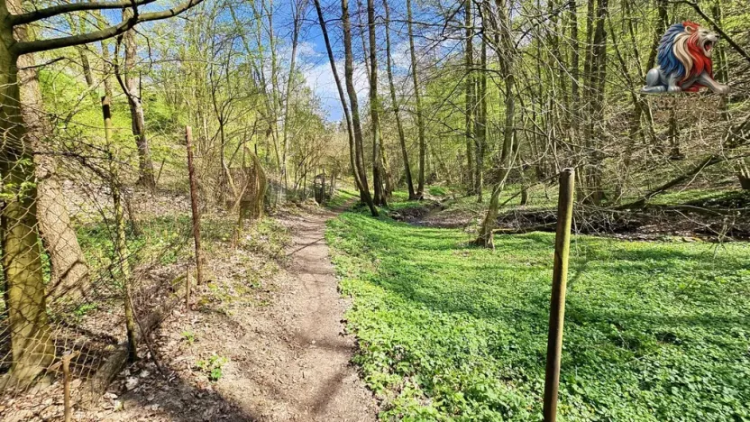 Prodej chaty, Brno - Bystrc, 24 m2