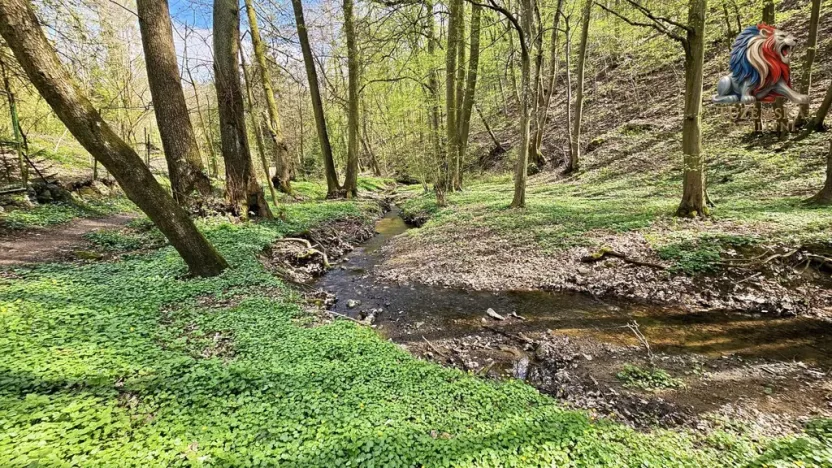 Prodej chaty, Brno - Bystrc, 24 m2