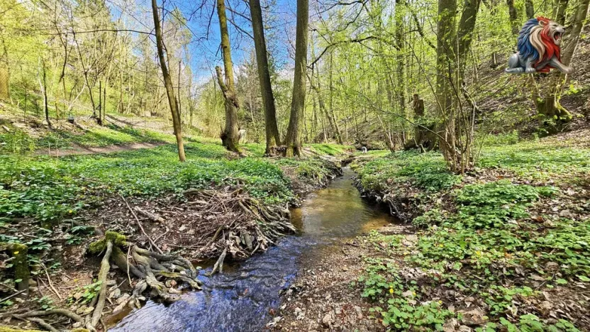 Prodej chaty, Brno - Bystrc, 24 m2