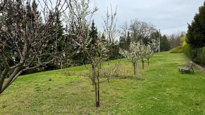 Prodej vily, Dolní Kounice, Zámecká, 270 m2