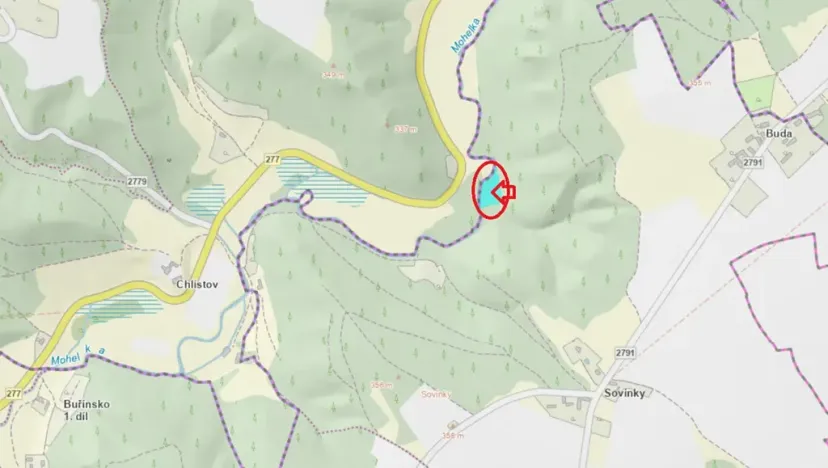 Prodej lesa, Chocnějovice, 2953 m2