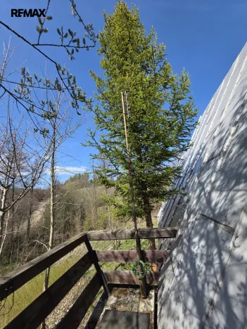 Pronájem chaty, Václavov u Bruntálu, 50 m2