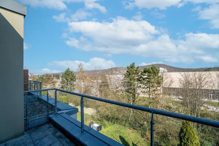 Prodej bytu 2+kk, Praha - Zbraslav, Neumannova, 54 m2