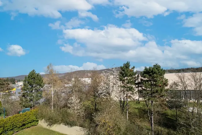 Prodej bytu 2+kk, Praha - Zbraslav, Neumannova, 54 m2