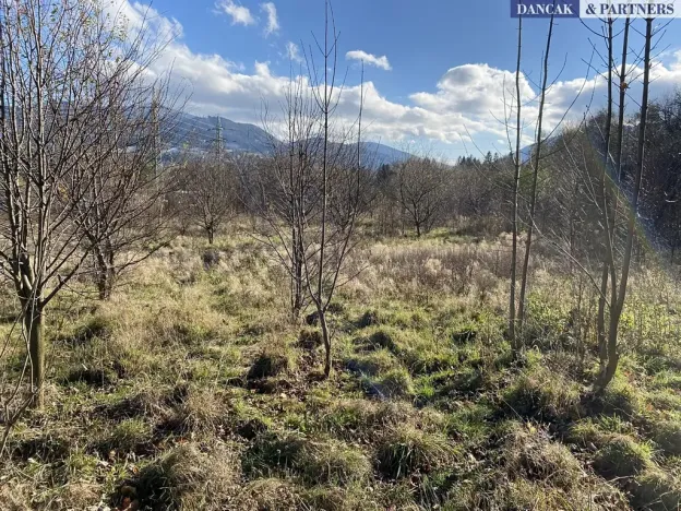 Prodej pozemku pro bydlení, Frýdlant nad Ostravicí, Havlíčkova, 6279 m2