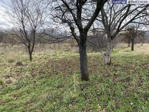 Prodej pozemku pro bydlení, Frýdlant nad Ostravicí, Havlíčkova, 6279 m2