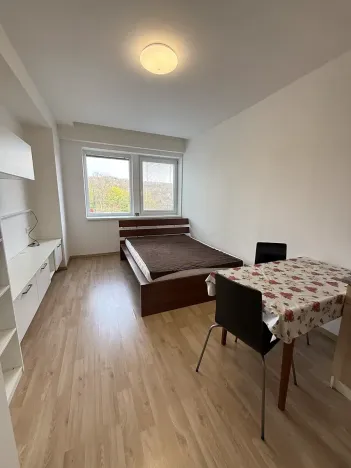 Pronájem bytu 1+kk, Praha - Jinonice, Peroutkova, 26 m2