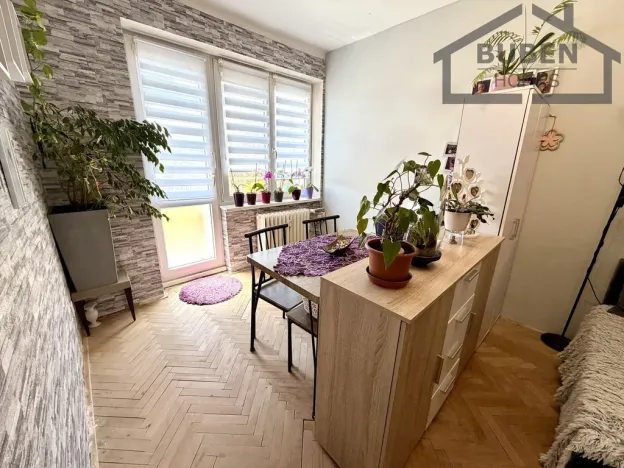 Prodej bytu 3+1, Tachov, Školní, 58 m2