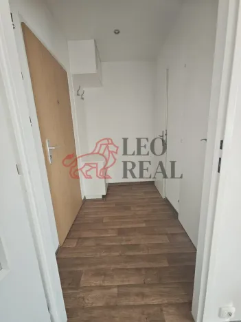 Pronájem bytu 1+kk, Praha - Podolí, Kaplická, 27 m2