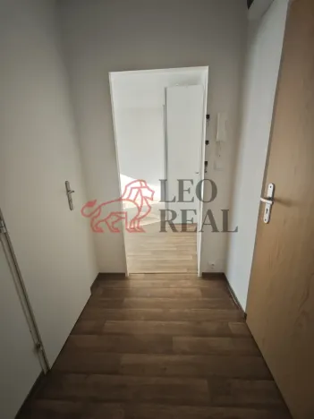 Pronájem bytu 1+kk, Praha - Podolí, Kaplická, 27 m2