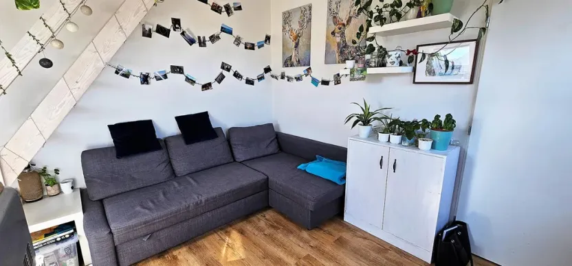 Pronájem bytu 2+kk, Brno - Černovice, Řehořova, 26 m2