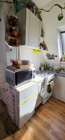 Pronájem bytu 2+kk, Brno - Černovice, Řehořova, 26 m2