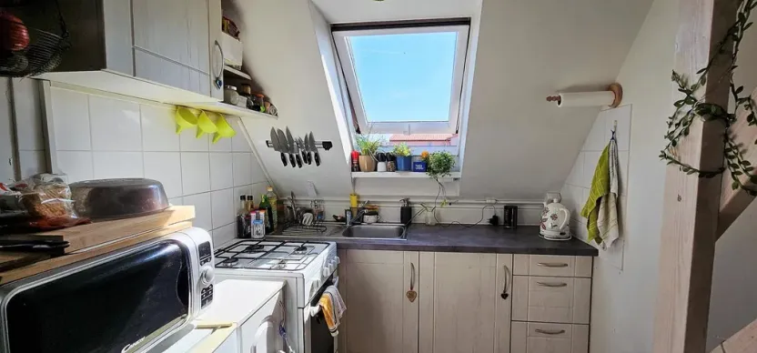 Pronájem bytu 2+kk, Brno - Černovice, Řehořova, 26 m2