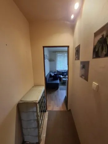 Pronájem bytu 1+1, Chomutov, Školní pěšina, 37 m2