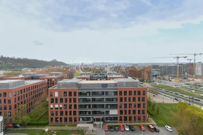 Pronájem bytu 3+kk, Praha - Karlín, Molákova, 42 m2