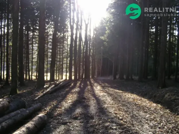 Prodej ubytování, Čaková, lfdlkdsa, 775 m2