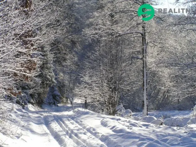 Prodej ubytování, Čaková, lfdlkdsa, 775 m2