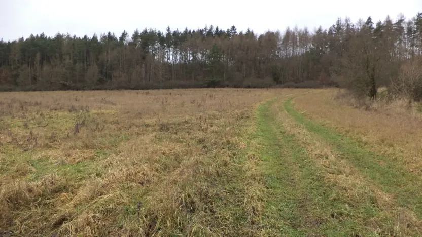 Prodej pole, Srby, 7890 m2