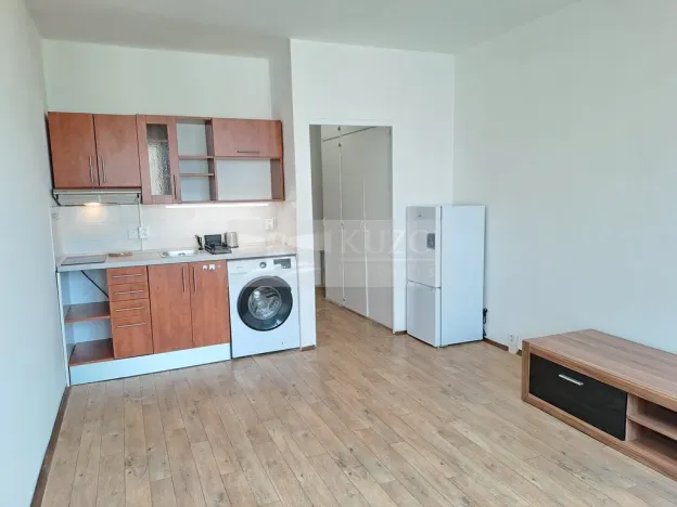Pronájem bytu 1+kk, Praha - Braník, Nad lesním divadlem, 24 m2
