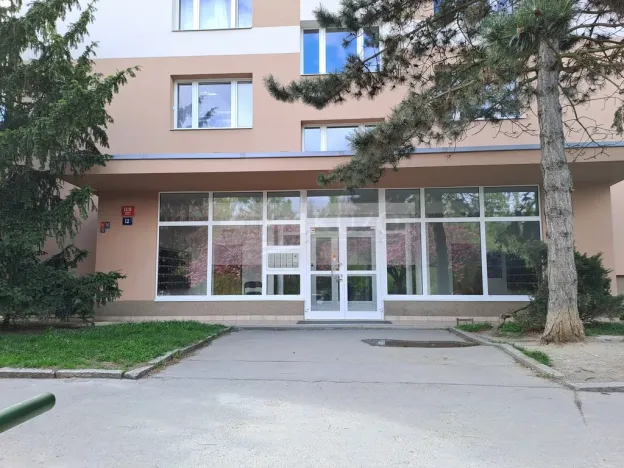 Pronájem bytu 1+kk, Praha - Braník, Nad lesním divadlem, 24 m2