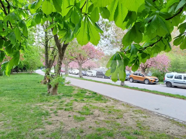 Pronájem bytu 1+kk, Praha - Braník, Nad lesním divadlem, 24 m2