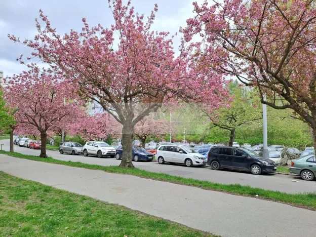 Pronájem bytu 1+kk, Praha - Braník, Nad lesním divadlem, 24 m2