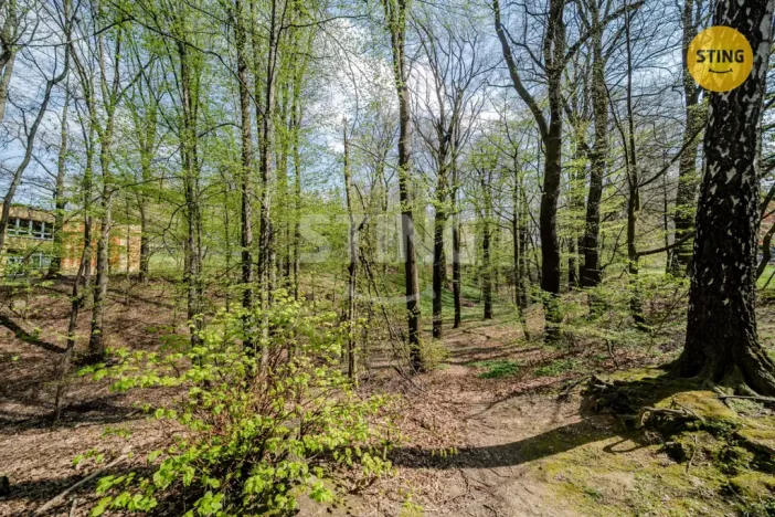 Prodej bytu 3+1, Ostrava, Lumírova, 67 m2