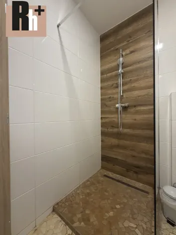 Prodej bytu 1+kk, Horní Lhota, 20 m2