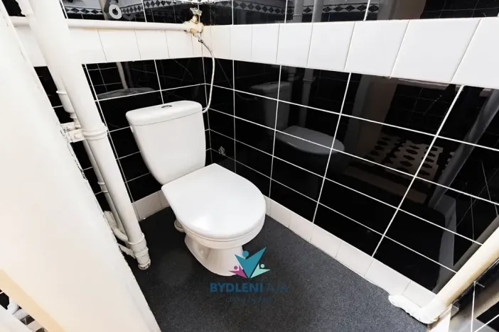 Prodej vily, Teplice, Antonína Dvořáka, 300 m2