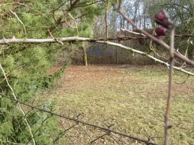 Dražba pole, Měrovice nad Hanou, 1943 m2