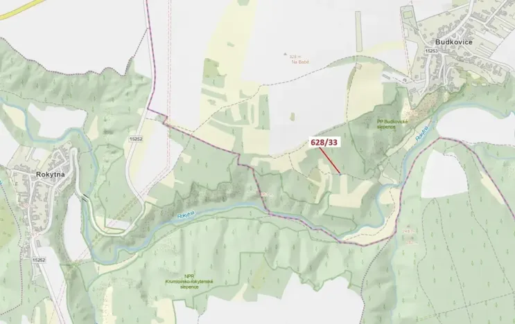 Dražba louky, Ivančice, 41 m2