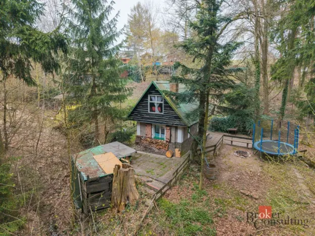 Prodej chaty, Tehov, Ke Srubům, 43 m2