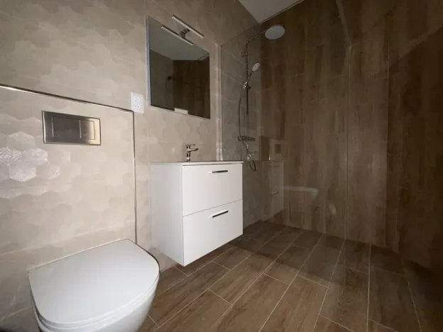 Prodej bytu 2+1, České Budějovice - České Budějovice 2, Sokolská, 55 m2