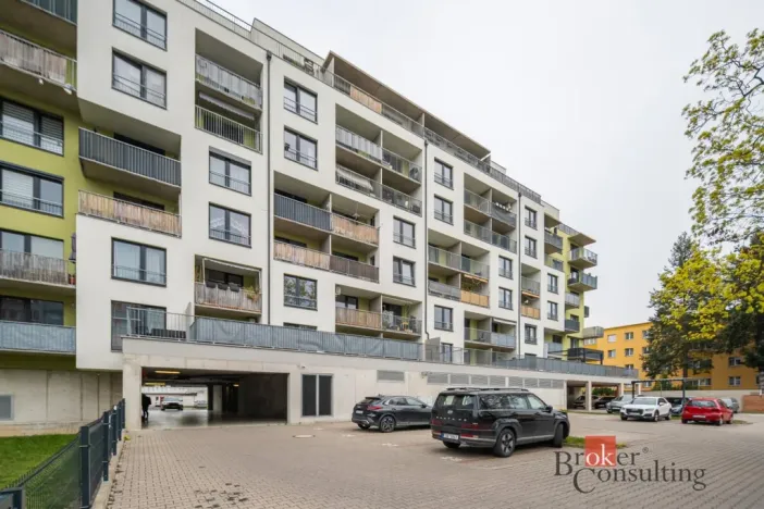 Prodej bytu 2+kk, Pardubice - Zelené Předměstí, Boženy Vikové-Kunětické, 60 m2