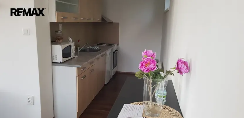 Pronájem bytu 1+kk, Hradec Králové - Nový Hradec Králové, Pod Zámečkem, 48 m2