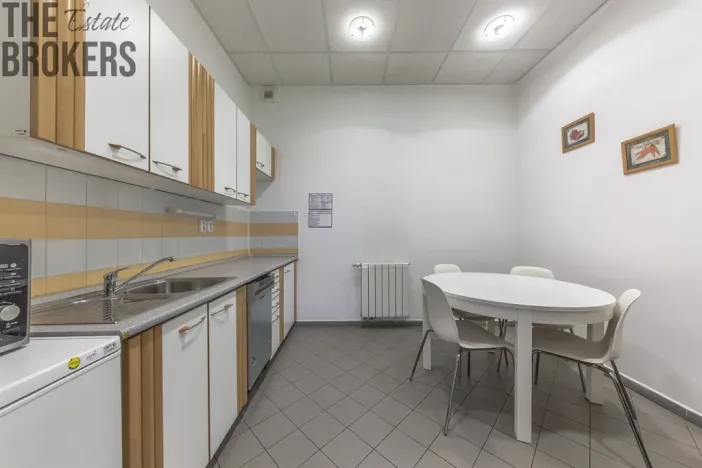 Pronájem rodinného domu, Mladá Boleslav - Čejetice, Koněvova, 296 m2