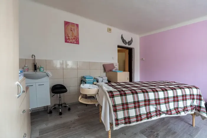 Prodej rodinného domu, Jihlava, Nad Přejezdem, 305 m2