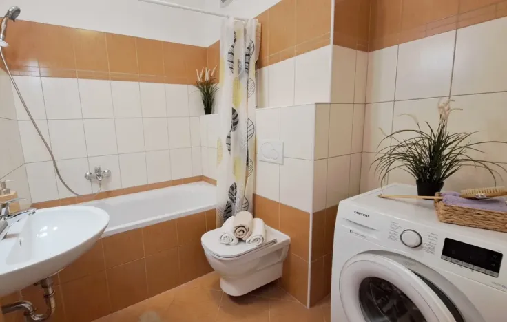 Pronájem bytu 1+kk, Brno, Bešůvka, 38 m2