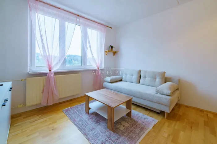 Prodej bytu 1+1, Loket, Mírová, 40 m2