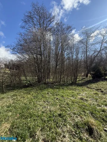 Prodej lesa, Výprachtice, 1892 m2