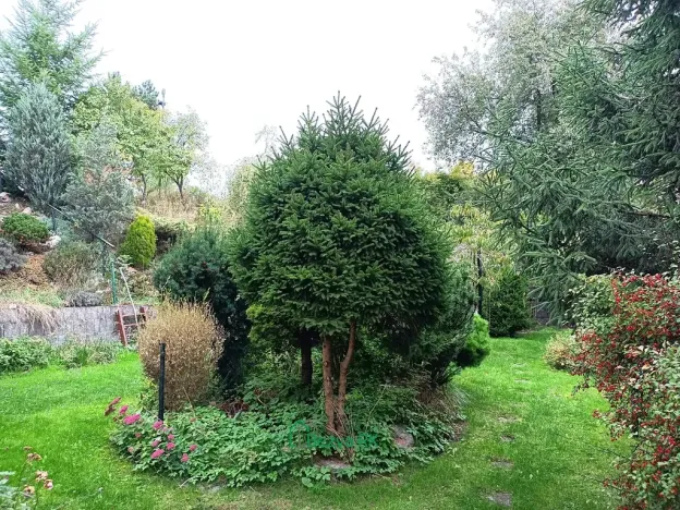 Prodej rodinného domu, Klučenice, 166 m2