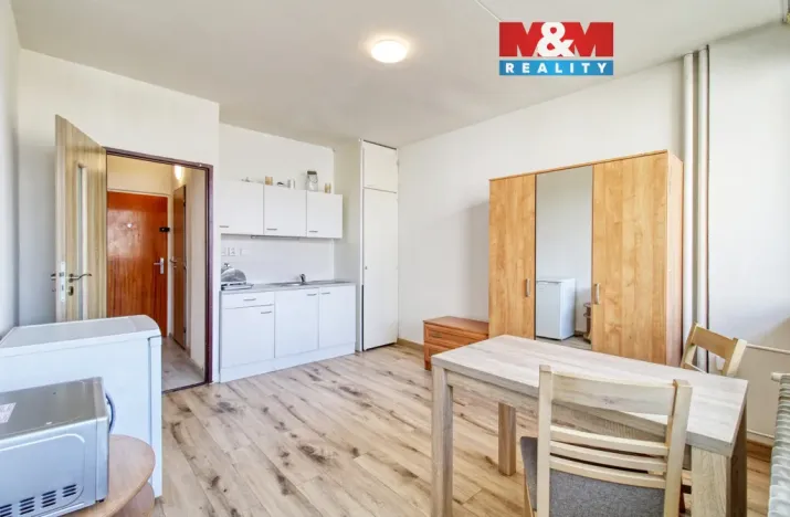 Pronájem bytu 1+kk, Litvínov - Horní Litvínov, Mostecká, 21 m2