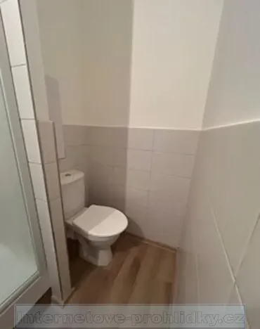 Pronájem bytu 1+kk, Chlumec, Zákoutí, 19 m2