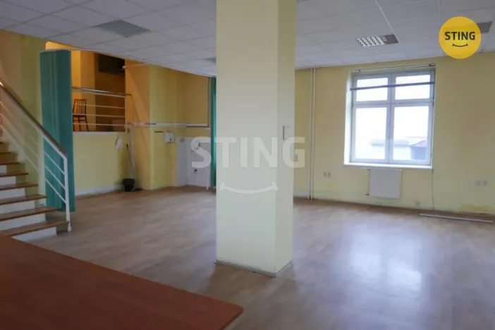 Pronájem výrobních prostor, Opava, Rybářská, 694 m2