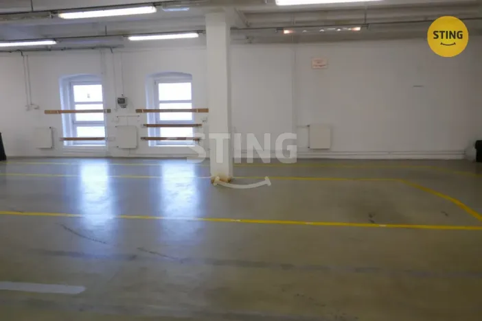 Pronájem výrobních prostor, Opava, Rybářská, 694 m2